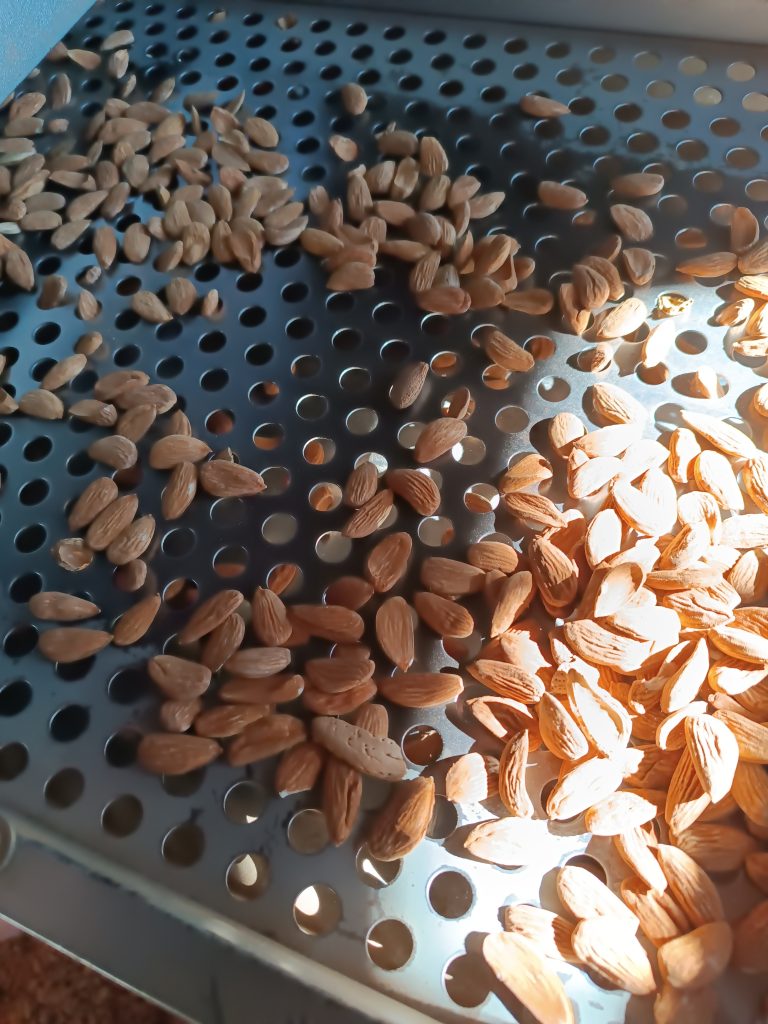 خرید مغز بادام