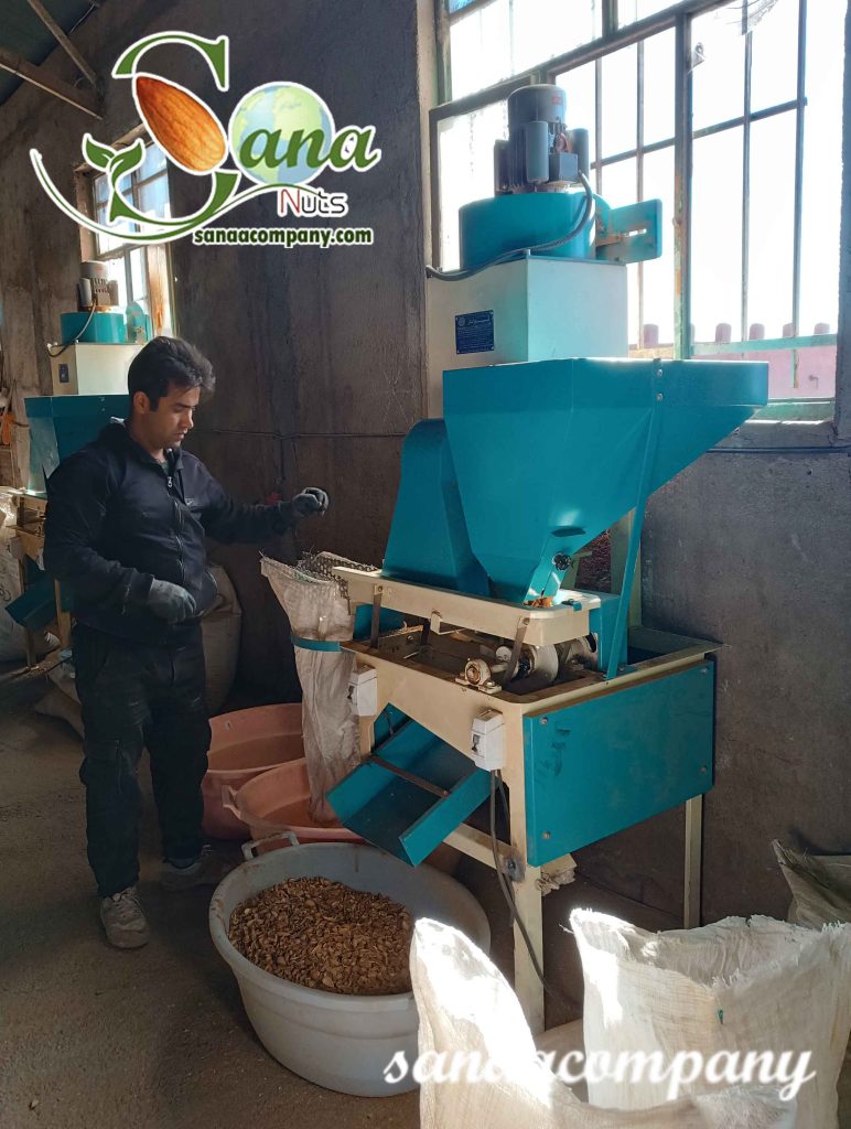 فرآوری بادام درختی