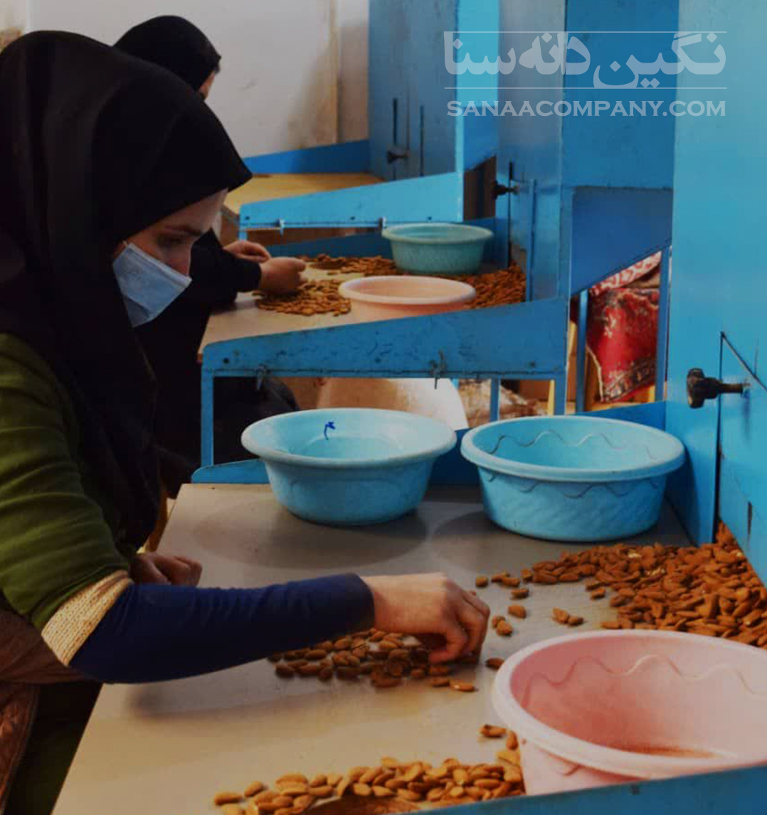 کارخانه بادام سنا