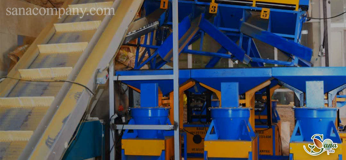 کارگاه بادام سنا