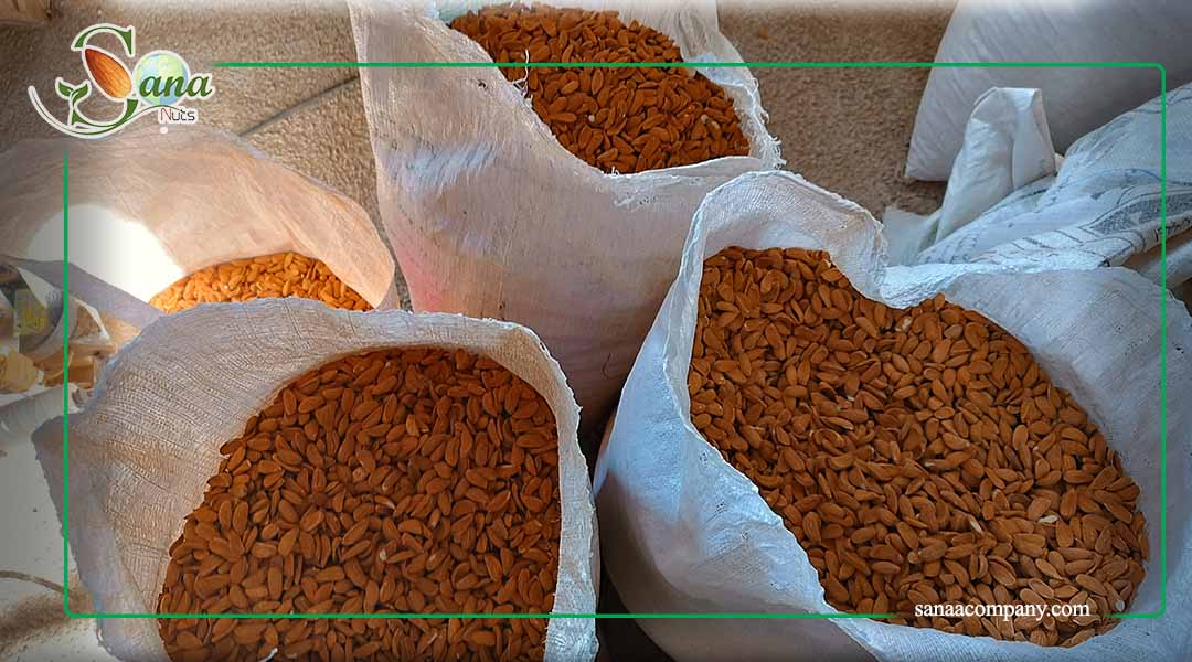 صادرات بادام مامایی در ایران